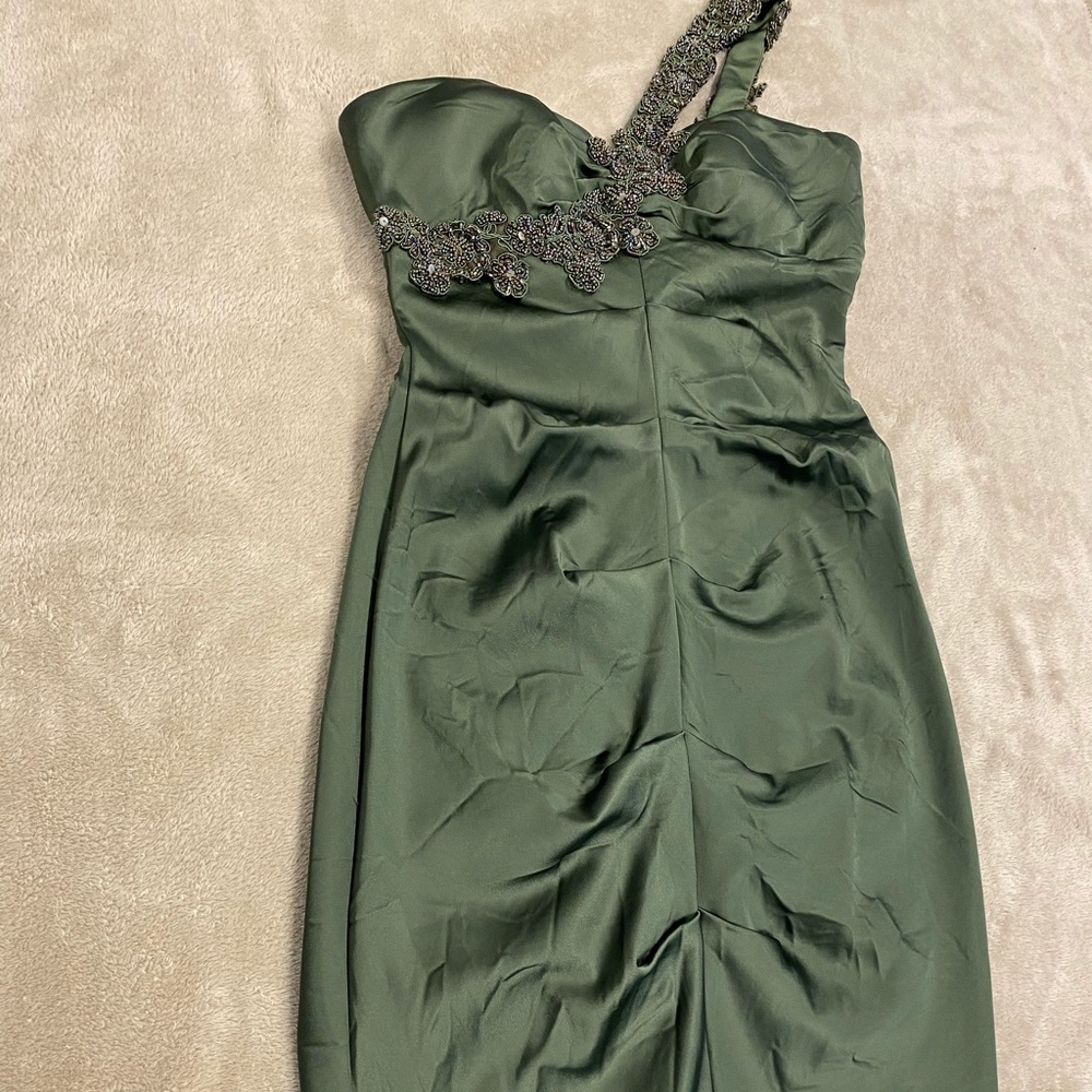 Cache knee length green dress
